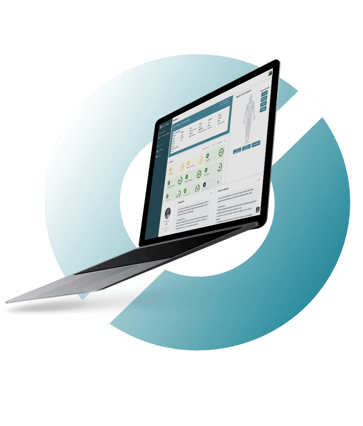 Notebook com dashboard